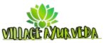 villageayurveda.com